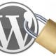 WordPress Security and WP Scan